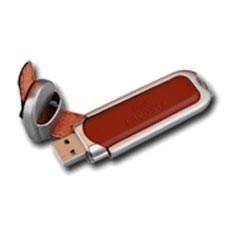 Leather Boss USB Drive