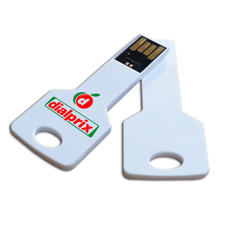Plastic Key USB Drive