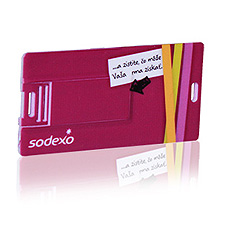 Small Plastic Flip Card USB Webkey